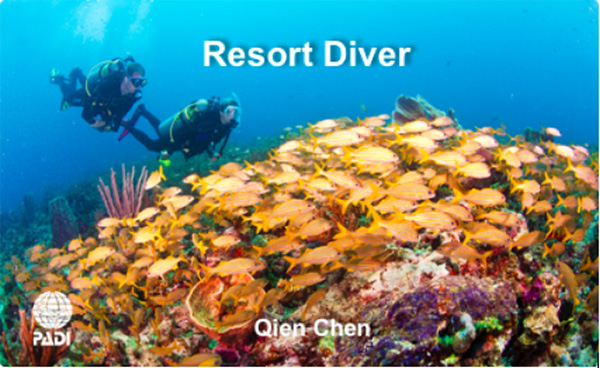 12/12正式上線(xiàn)！PADI 最新課程【休閑潛水員Resort Diver】 丨 一天拿證，潛遍全球