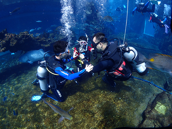 12/12正式上線(xiàn)！PADI 最新課程【休閑潛水員Resort Diver】 丨 一天拿證，潛遍全球