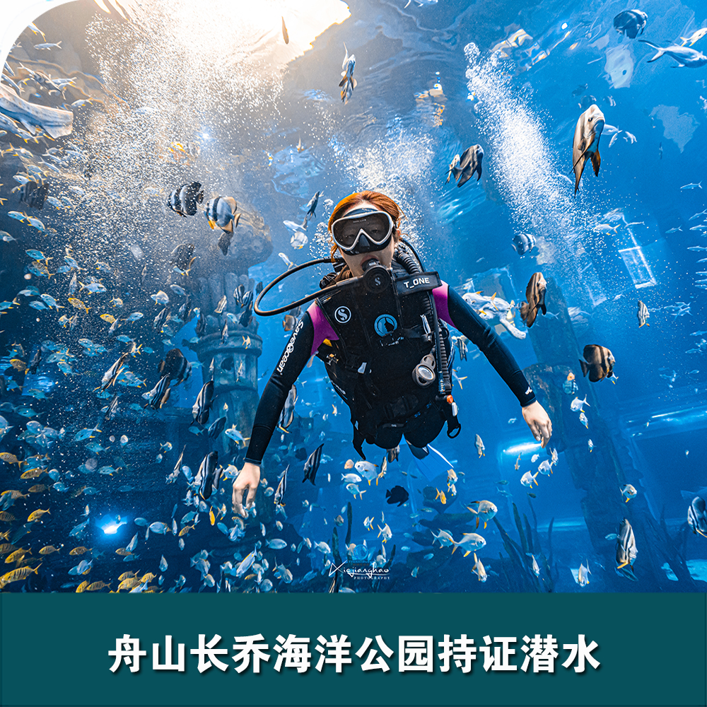 舟山長(zhǎng)喬海洋公園持證潛水